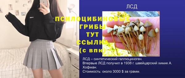 трава Новокубанск