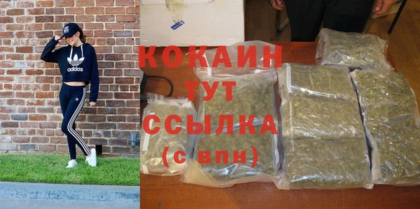 тгк Нея