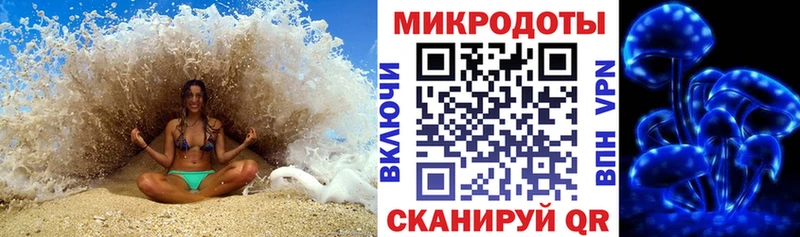 Галлюциногенные грибы Cubensis наркотики Тосно