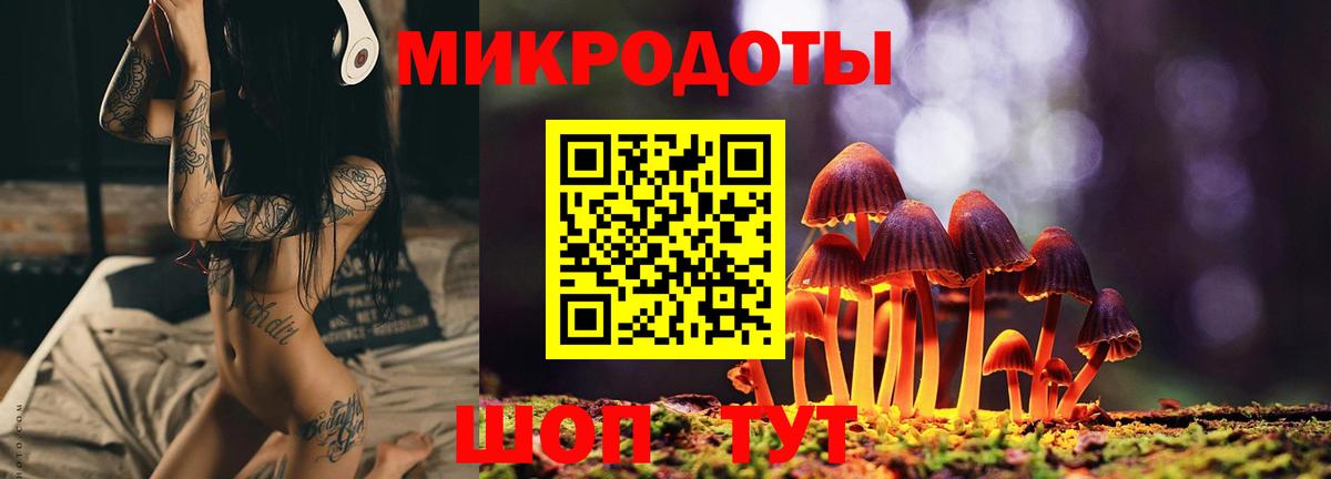 Тосно  Псилоцибиновые грибы Psilocybine cubensis  купить   Вход с VPN 