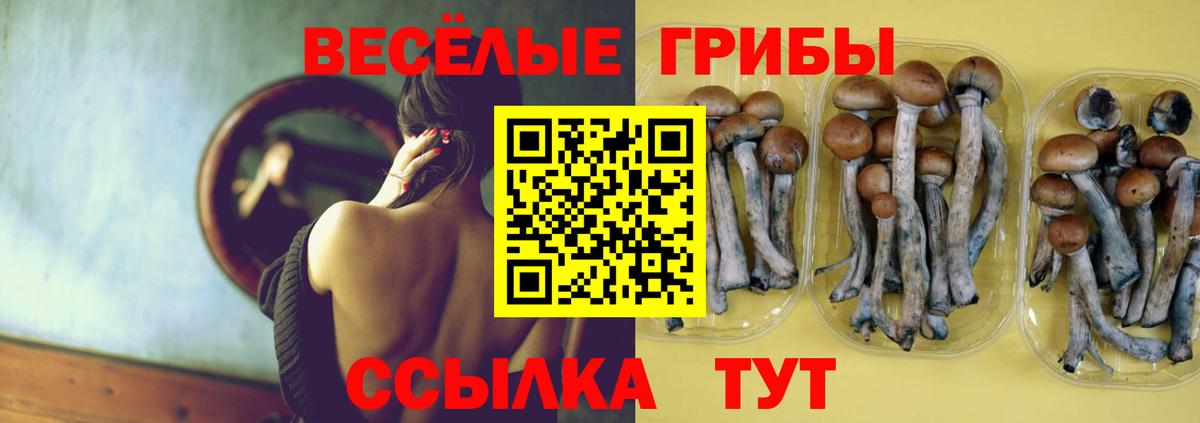 ГАШИШ  Тосно  Мяу-Мяу  Бошки Шишки  Меф  Вход с VPN  Кокаин 